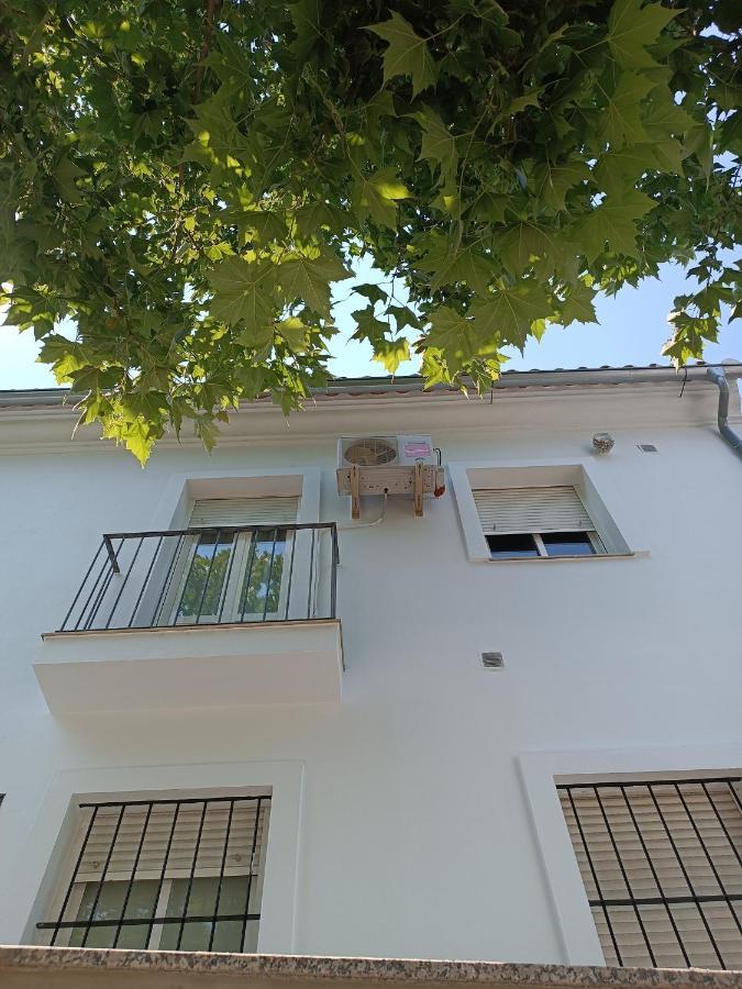 엘보스크 Casa Curro 아파트 외부 사진
